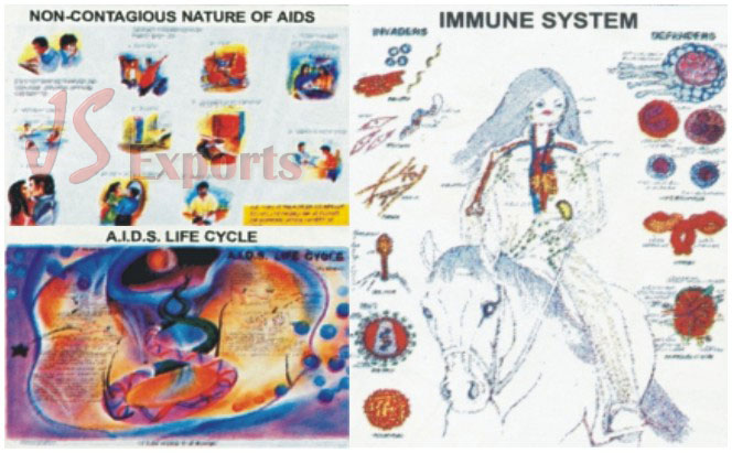 AIDS CHARTS (Set Of 6)